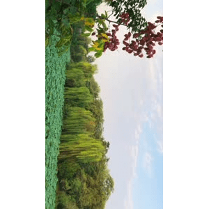 旅行风景6430