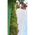 旅行风景6430