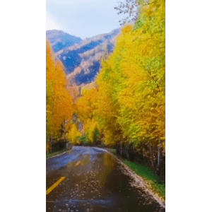 旅行风景6431