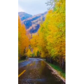 旅行风景6431