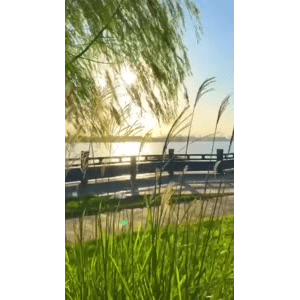 旅行风景6433