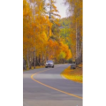 旅行风景6436