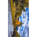 旅行风景6440