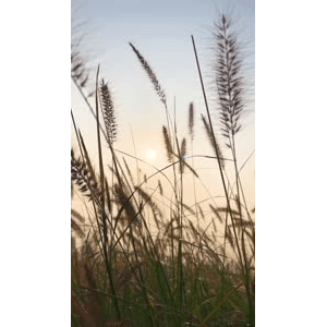 旅行风景6444