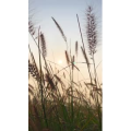 旅行风景6444