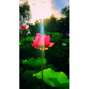 旅行风景6447