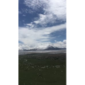 旅行风景6449
