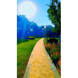 旅行风景6459