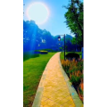 旅行风景6459