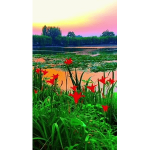 旅行风景6462