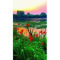 旅行风景6462