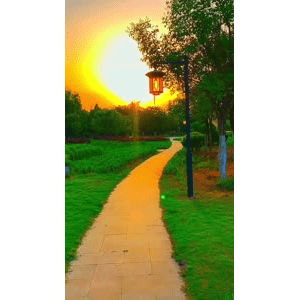 旅行风景6463