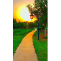 旅行风景6463