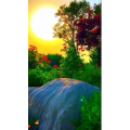 旅行风景6473