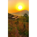 旅行风景6475