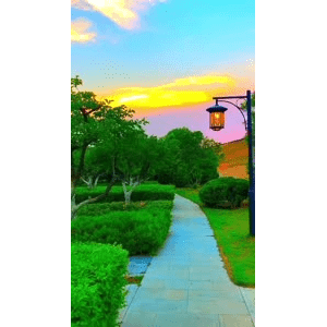 旅行风景6480