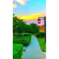 旅行风景6480