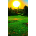 旅行风景6494