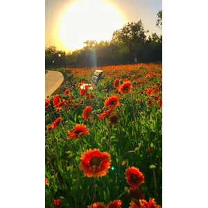 旅行风景6497