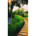 旅行风景6505