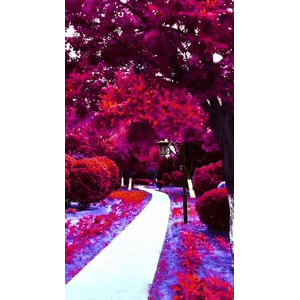 旅行风景6513
