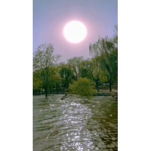 旅行风景6514
