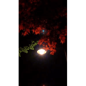 旅行风景6529