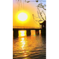 旅行风景6540
