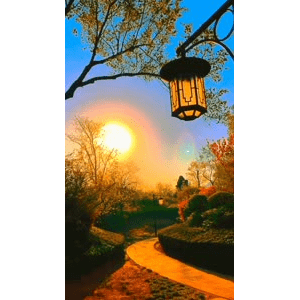 旅行风景6541