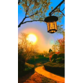 旅行风景6541