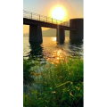 旅行风景6542
