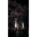 旅行风景6554