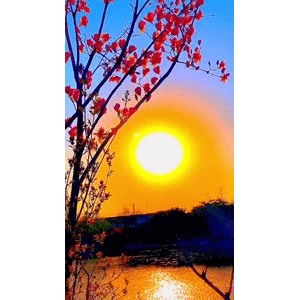 旅行风景6558