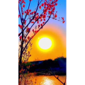 旅行风景6558