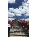 旅行风景6560