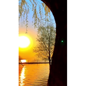 旅行风景6563