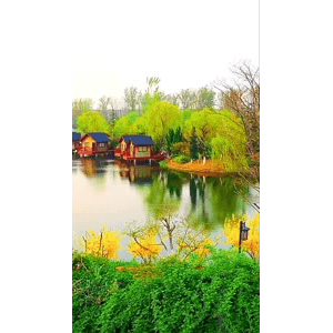 旅行风景6567
