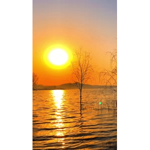 旅行风景6573