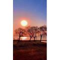 旅行风景6575