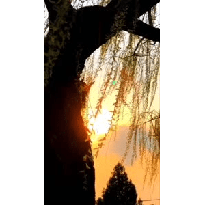 旅行风景6577