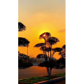 旅行风景6581
