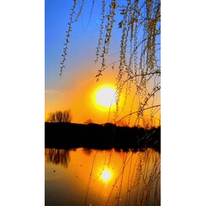 旅行风景6583