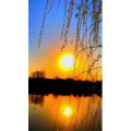 旅行风景6583