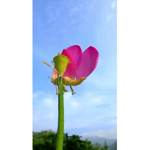 旅行风景6589