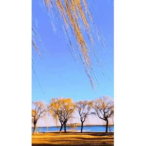 旅行风景6591