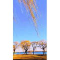 旅行风景6591