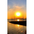 旅行风景6601