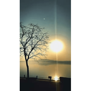 旅行风景6603