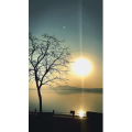 旅行风景6603