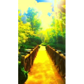 旅行风景6608